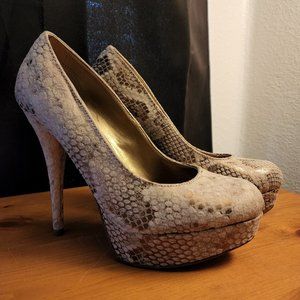 Brash Animal Print Heels Size 8